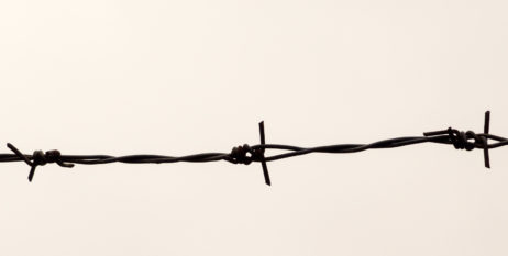 Barbed Wire Barbed Wire