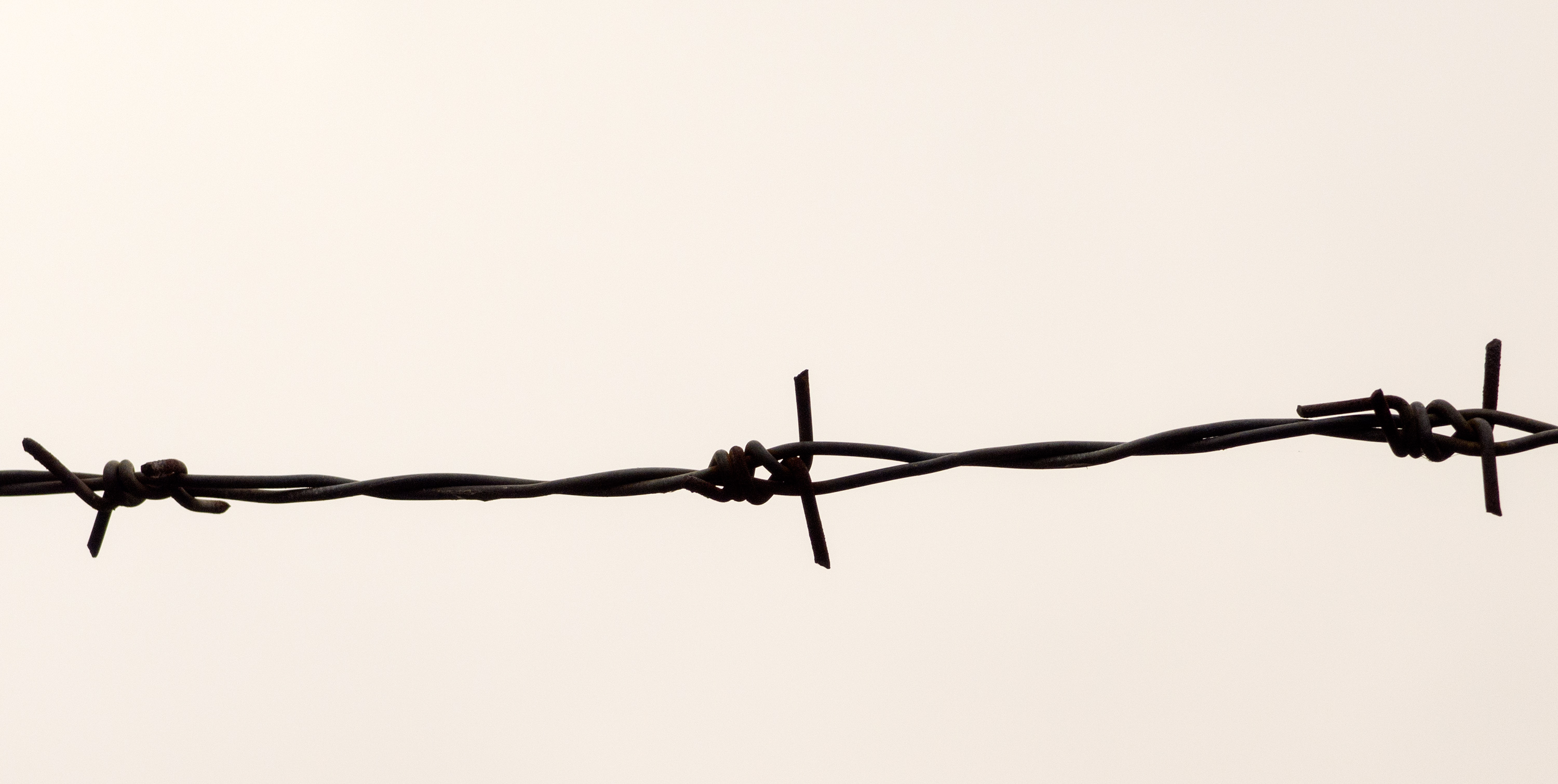 barbed wire