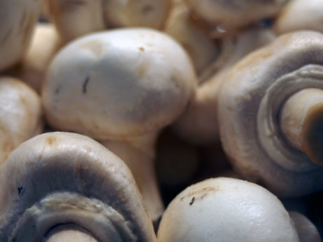 Mushrooms Champignons Mushrooms Champignons