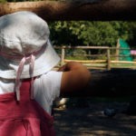 Little Child Looking Through the Wooden Fence Little Child Looking Free photo: Through the Wooden Fence