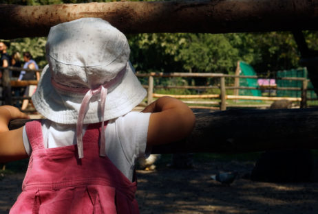 Little Child Looking Through the Wooden Fence Little Child Looking Through the Wooden Fence