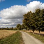 Village path through the fields Free photo: Village path through the fields