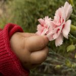 Baby hand picking the flower Free photo: Baby hand picking the flower