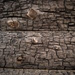 Burnt wood texture Burnt wood texture | Free stock photo