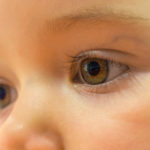 Baby Eyes Baby Eyes | Free Stock Photo