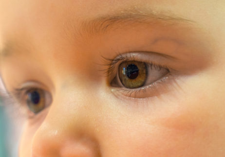 Baby Eyes Baby Eyes