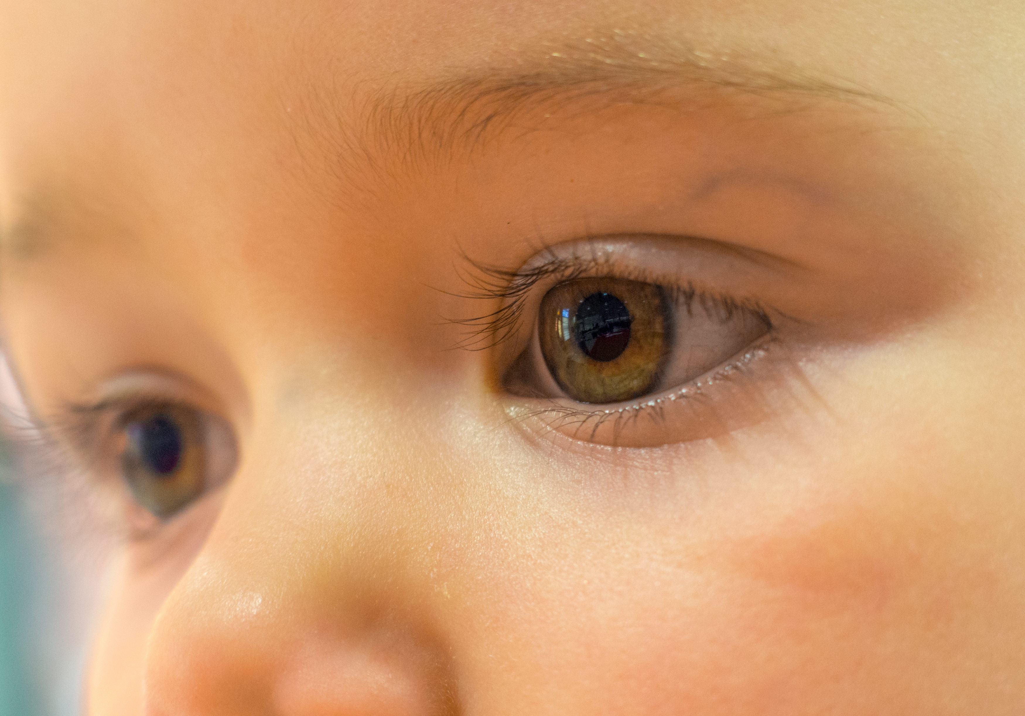 Brown Baby Eyes Close Up