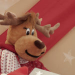 Christmas Reindeer | Free Stock Photo