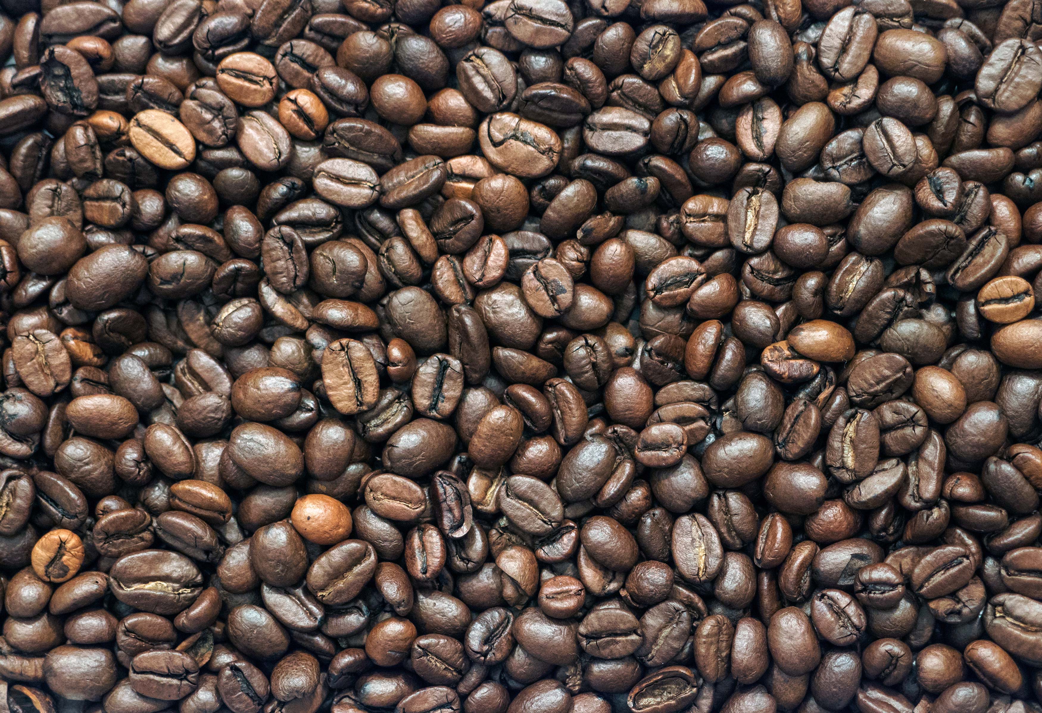 Coffee Beans Photos, Download The BEST Free Coffee Beans Stock