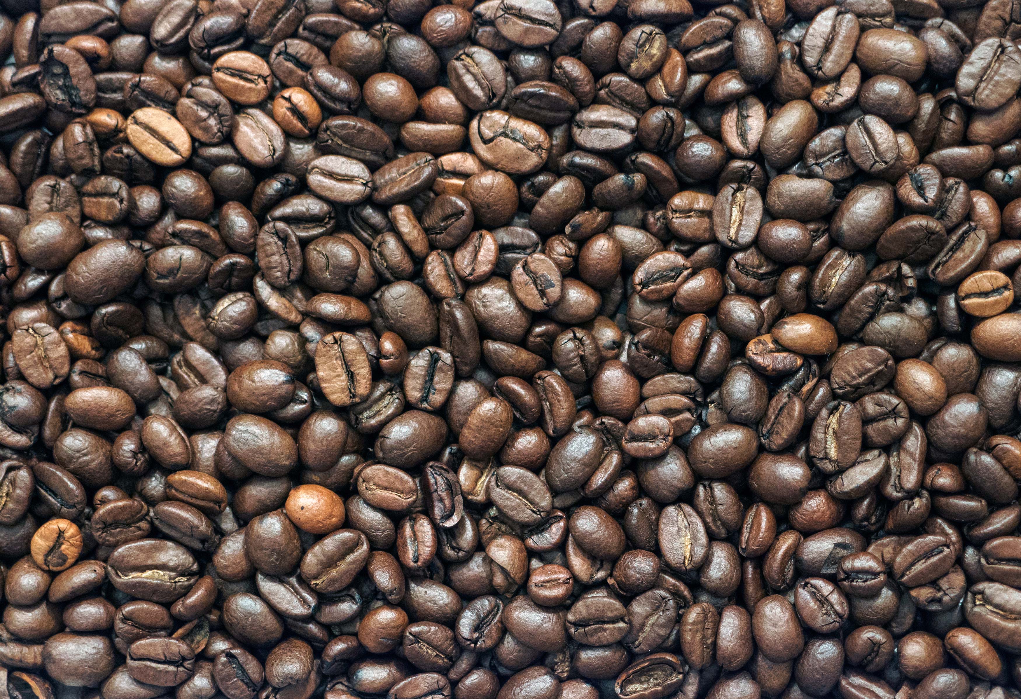 Coffee Beans Free Stock Photo LibreShot