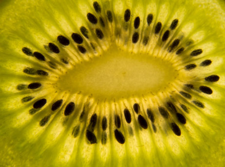 Kiwi slice closeup Kiwi slice closeup