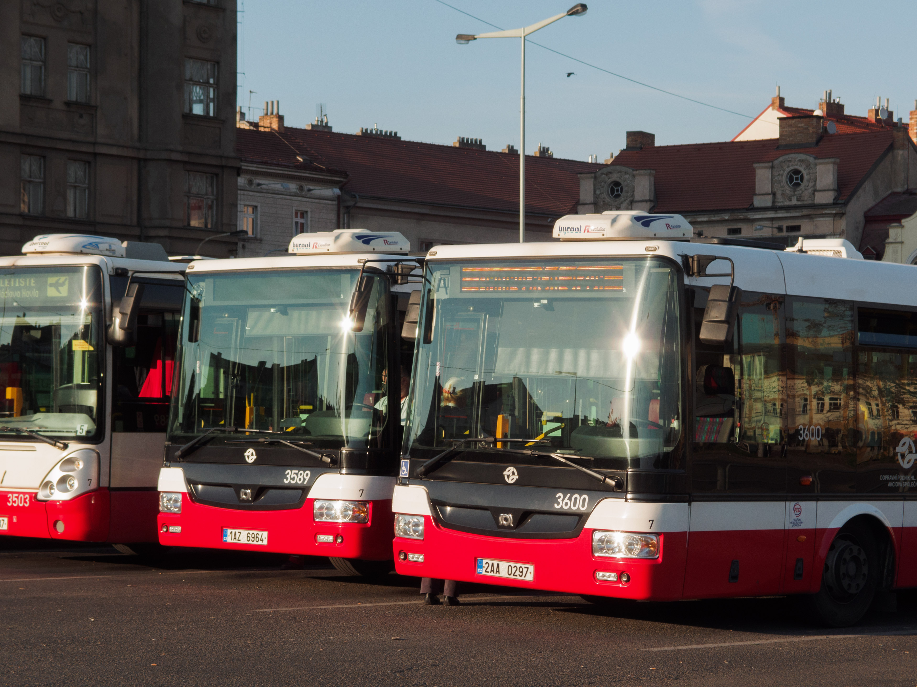 waiting-buses.jpg