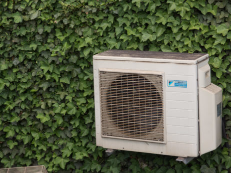 Air conditioner compressor on the ivy wall Air conditioner compressor on the ivy wall