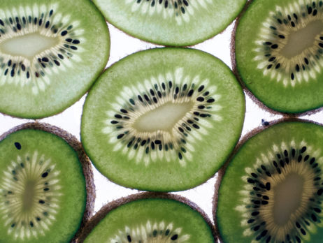 Kiwi Slices Kiwi Slices