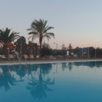 Swimming Pool And Palm Trees Swimming Pool And Palm Trees