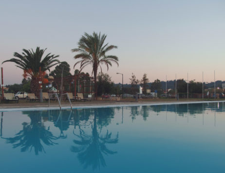 Swimming Pool And Palm Trees Swimming Pool And Palm Trees