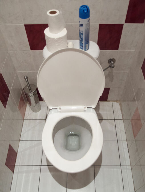 White Toilet Bowl | Copyright-free Photo (by M. Vorel) | LibreShot