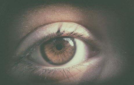 Brown Eye Brown Eye