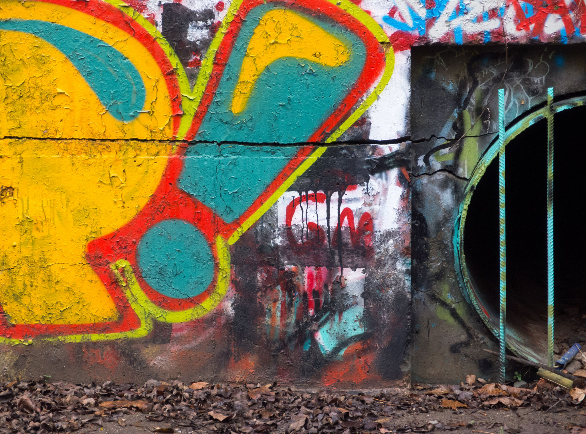 Urban Wall Art | Copyright-free photo (by M. Vorel) | LibreShot