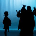 Magical shadow theater