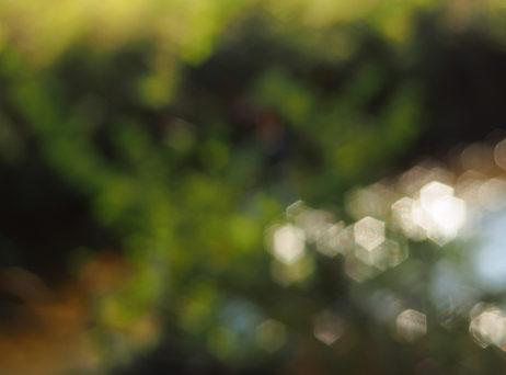 Photography Bokeh Photography Bokeh