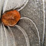 Stone Frozen In Ice Stone Frozen In Ice