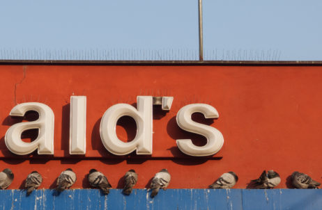 MCDonald’s And Pigeons MCDonald’s And Pigeons