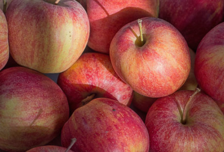 Red Apples Red Apples