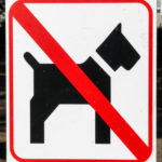 No Dogs Allowed Sign No Dogs Allowed Sign