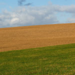 Brown And Green Field