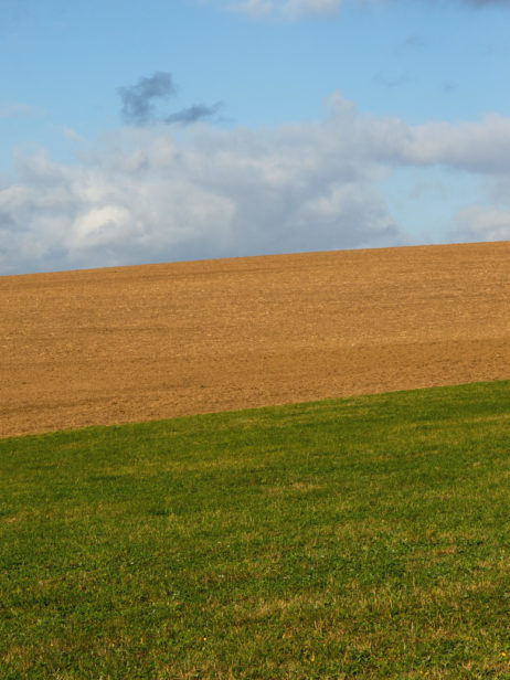 Pastue, Field And Sky Pastue, Field And Sky