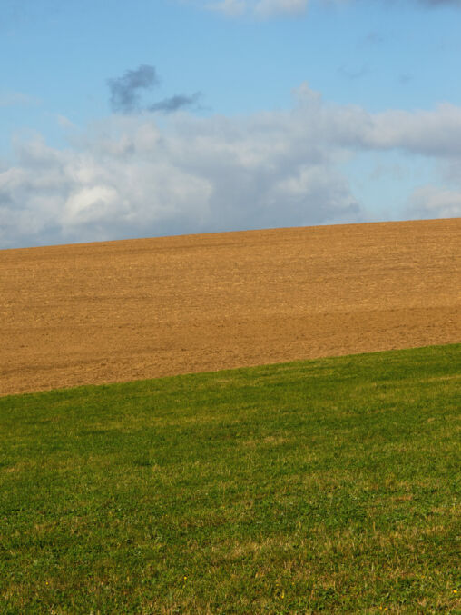Pastue, Field And Sky