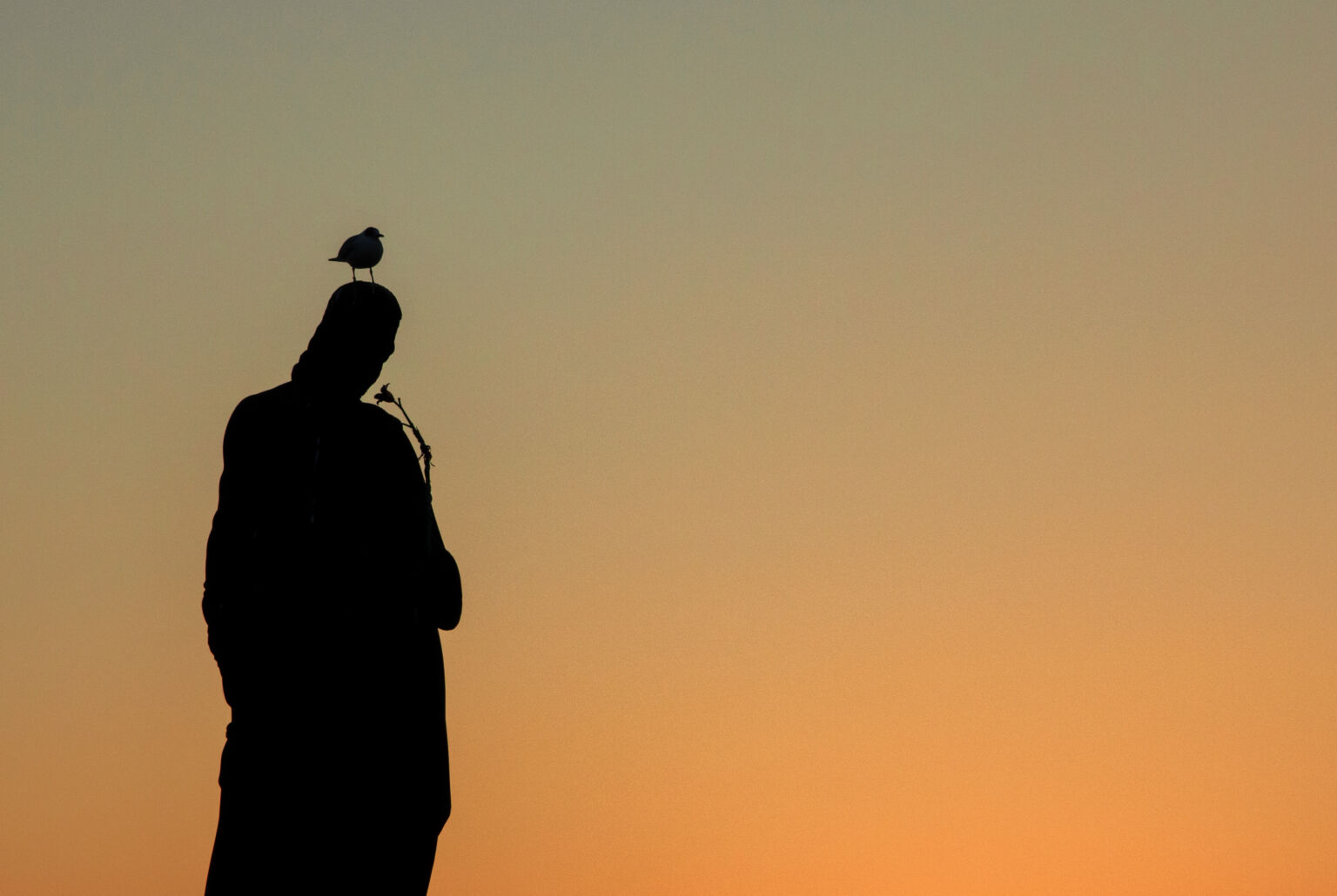 Seagull Sitting On The Old Statue | Copyright-free photo (by M. Vorel ...