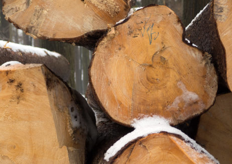Stack Of Wood Stack Of Wood
