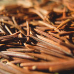 Pine Needles On The Ground
