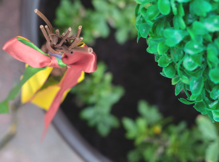 Czech Easter Decoration | Copyright-free photo (by M. Vorel) | LibreShot