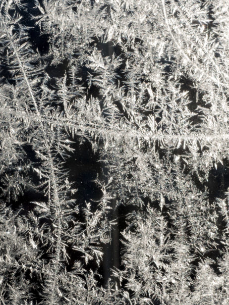Frost on the window Frost on the window