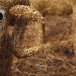 Easter Lamb Made Of Straw easter lamb made of straw
