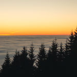 Sunset above the clouds and trees Sunset above the clouds and trees