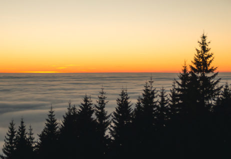 Sunset above the clouds and trees Sunset above the clouds and trees