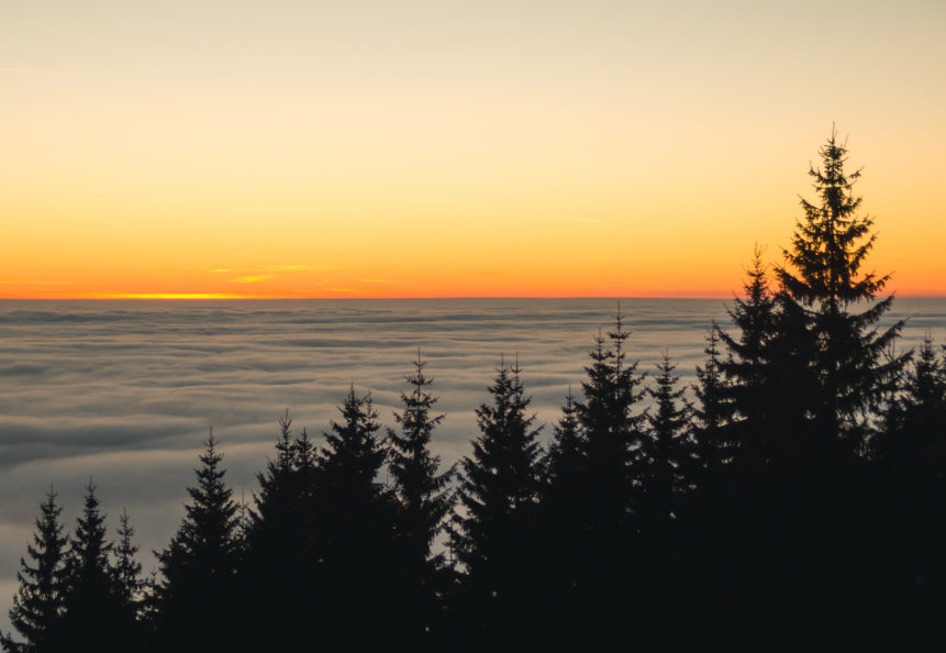 Sunset above the clouds and trees