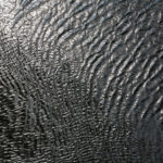 water surface