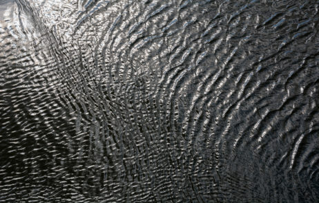 Water Surface Water Surface