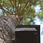 Birdhouse on a tree Birdhouse on a tree