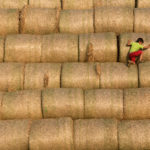 climbing on stacks of hay