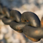 Link Chain link chain