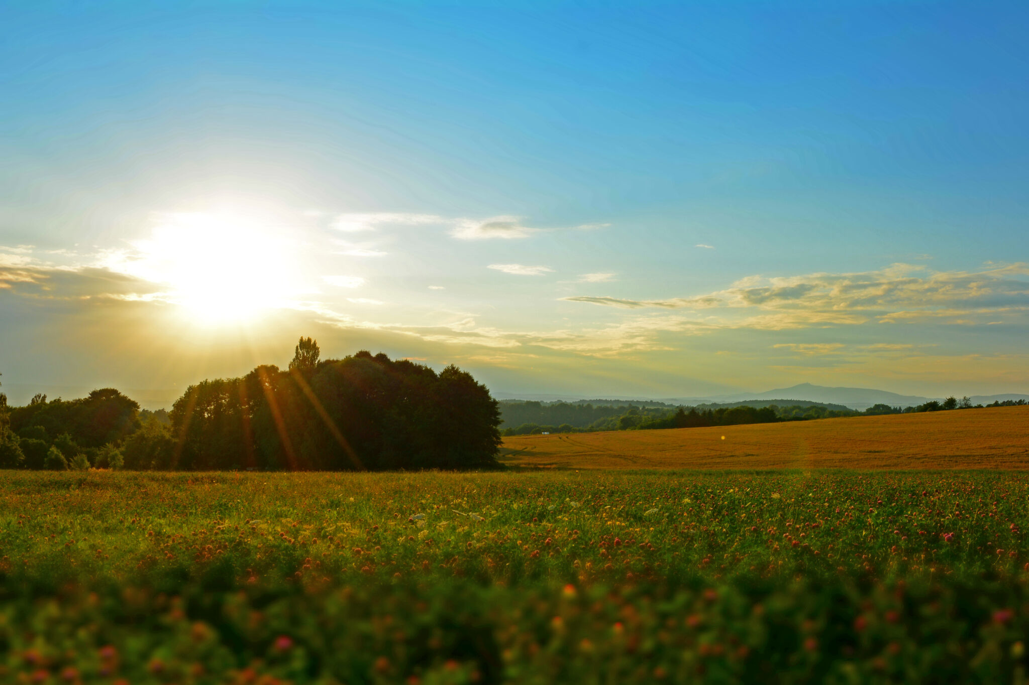 Meadow At Sunset Copyright Free Photo By M Vorel Libreshot