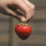 Red strawberry in hand