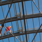 Workers on the glass roof Workers on the glass roof
