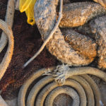 Pile Of Ropes Pile Of Ropes
